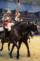 Cavalry - 00311